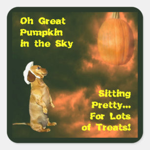 Sticker Carré Assis Joli pour beaucoup de soins