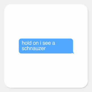 Sticker Carré Attends, Je Vois Un Schnauzer