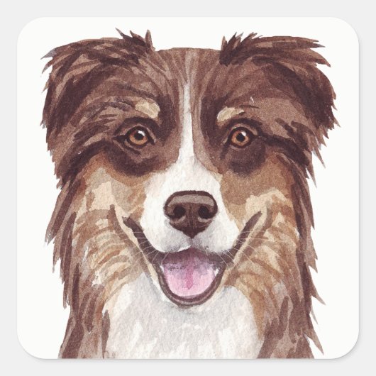 Sticker Carré Aussie Chien Chien Chien Chien Assiette Australian (Devant)