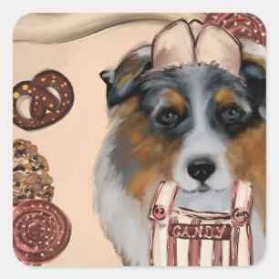 STICKER CARRÉ AUSTRALIAN SHEPHERD