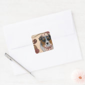 STICKER CARRÉ AUSTRALIAN SHEPHERD (Enveloppe)