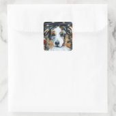 STICKER CARRÉ AUSTRALIAN SHEPHERD (Sac)