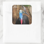 Sticker Carré Australie Cassowary Bird (Sac)