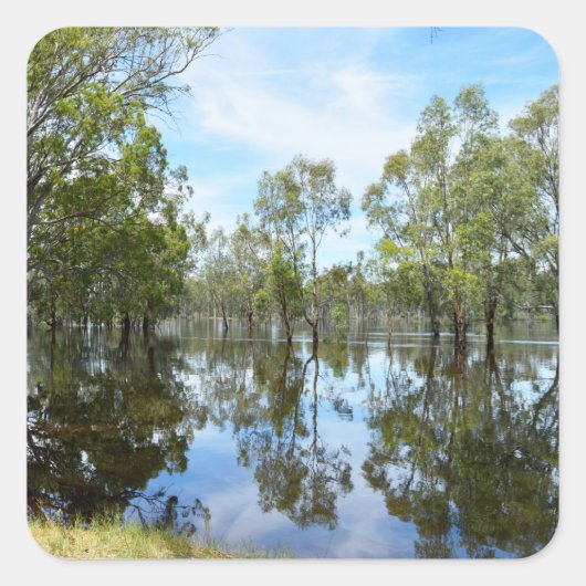 Sticker Carré Australie The River Murray, (Devant)