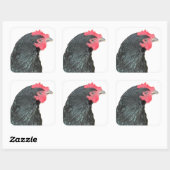 Sticker Carré Australorp noir Hen (Feuille)