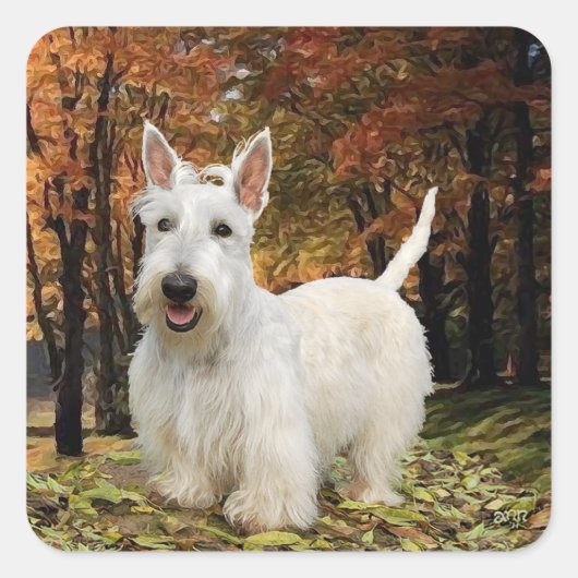Sticker Carré Automne de Wheaten Scottish Terrier (Devant)