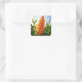 Sticker Carré Autumn Candy Corn On the Cob (Sac)