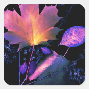 Sticker Carré Autumn Leaves