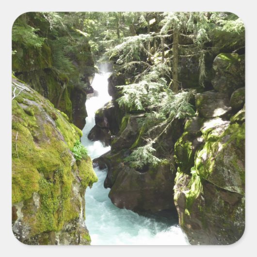 Sticker Carré Avalanche Gorge II at Glacier National Park (Devant)