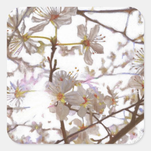 Sticker Carré Avant 2014 (Devant)