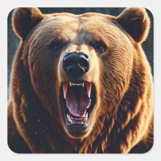Sticker Carré Aventures d'ours douillettes (Devant)