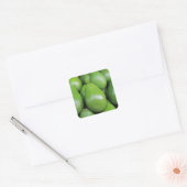 Sticker Carré Avocats verts frais (Enveloppe)