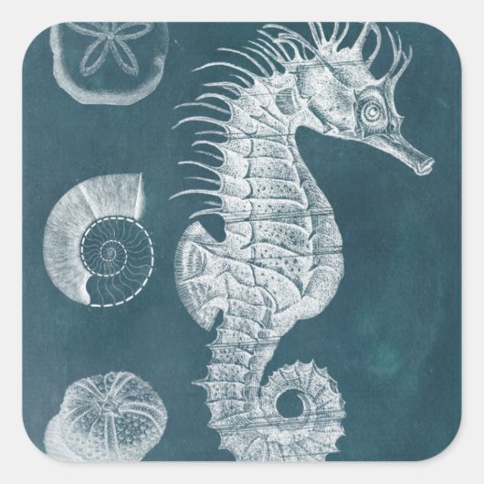 Sticker Carré Azure Seahorse Study I (Devant)