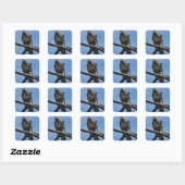 Sticker Carré B54 Buse de Swainson (Feuille)