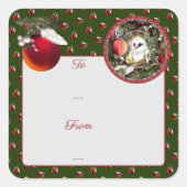 Sticker Carré Baby Dove (Devant)