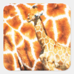 Sticker Carré Baby Giraffe