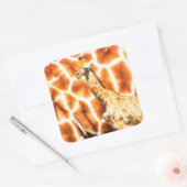 Sticker Carré Baby Giraffe (Enveloppe)