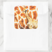 Sticker Carré Baby Giraffe (Sac)