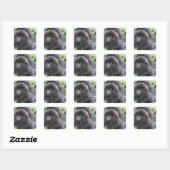 Sticker Carré Baby Mountain Gorilla (Feuille)
