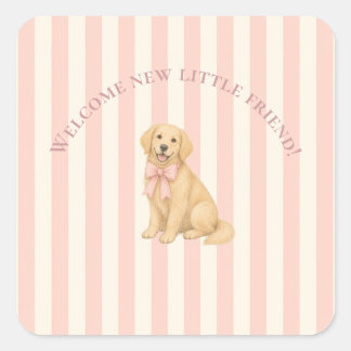Sticker Carré Baby Shower Retriever Golden Rose