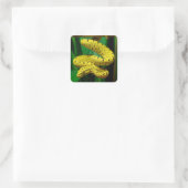 Sticker Carré Baby Yellow Phase Green Tree Python Snake (Sac)