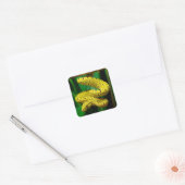 Sticker Carré Baby Yellow Phase Green Tree Python Snake (Enveloppe)