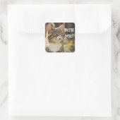 Sticker Carré Badass Cats - "BITE ME !" (Sac)