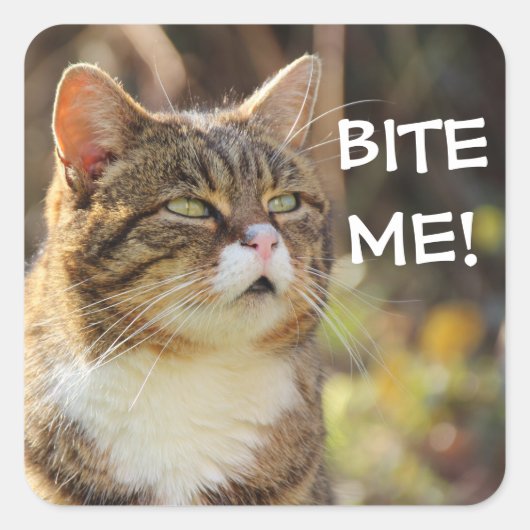 Sticker Carré Badass Cats - "BITE ME !" (Devant)