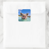 Sticker Carré Bahamas Swimming Pig 2024 (Sac)