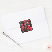 Sticker Carré Baies rouges de Noël. (Enveloppe)