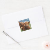 Sticker Carré Baiser de vache des Highlands (Enveloppe)