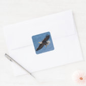 Sticker Carré Bald eagle in flight (Enveloppe)
