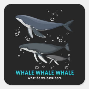 Sticker Carré Baleine À Baleine Qu'avons-nous ici