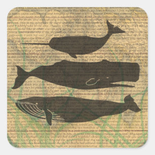 Sticker Carré Baleine antique Vie marine
