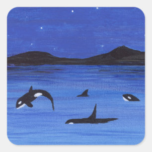 Sticker Carré Baleines tueuses