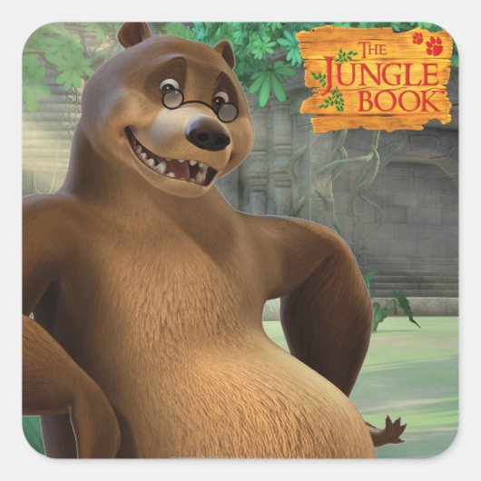 Sticker Carré Baloo 5 (Devant)