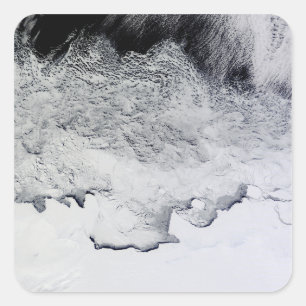 Sticker Carré Banzare, Sabrina et les côtes bouddhistes, Antarct