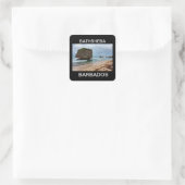 Sticker Carré Barbade, Bathsheba Rocks (Sac)