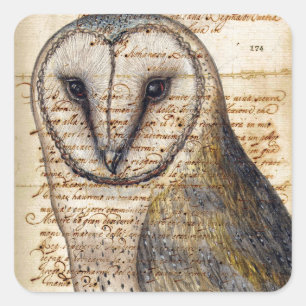 Sticker Carré Barn Owl