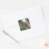 Sticker Carré Barn Owl (Enveloppe)