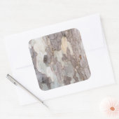 Sticker Carré Barque d'arbre (Enveloppe)