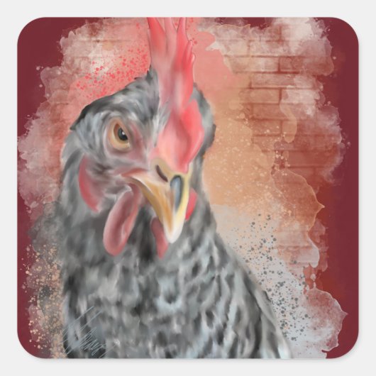 Sticker Carré Barred Rock Hen Classic (Devant)