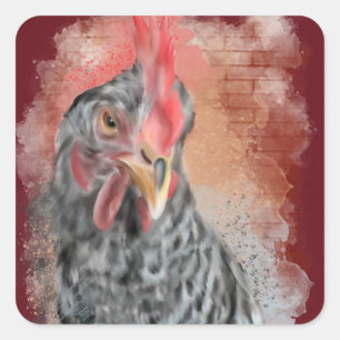 Sticker Carré Barred Rock Hen Classic
