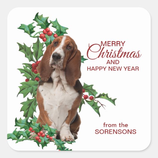 Sticker Carré Basset Hound Red Berry Holly Noël (Devant)