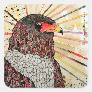Sticker Carré Bateleur Eagle