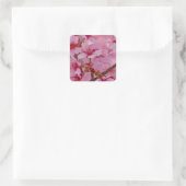 Sticker Carré Bathed in Pink Japanese Cherry (Sac)