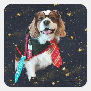 Sticker Carré Bâton Carré Blenheim Cavalier King Charles Wizard