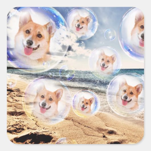Sticker Carré Beach Welsh Corgis (Devant)