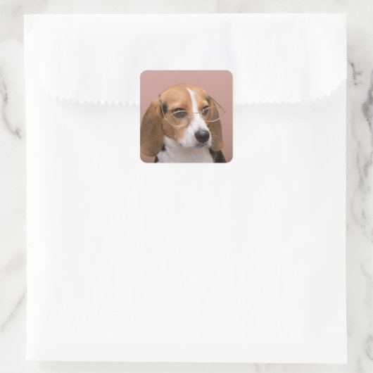 Sticker Carré Beagle (Sac)