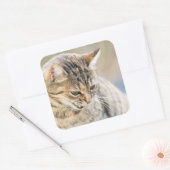 Sticker Carré Beau chat (Enveloppe)
